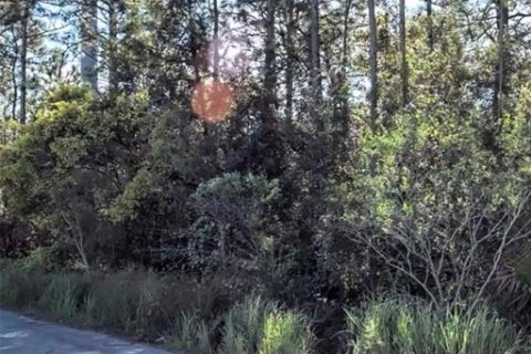 Land in Orlando, Florida № 2158810