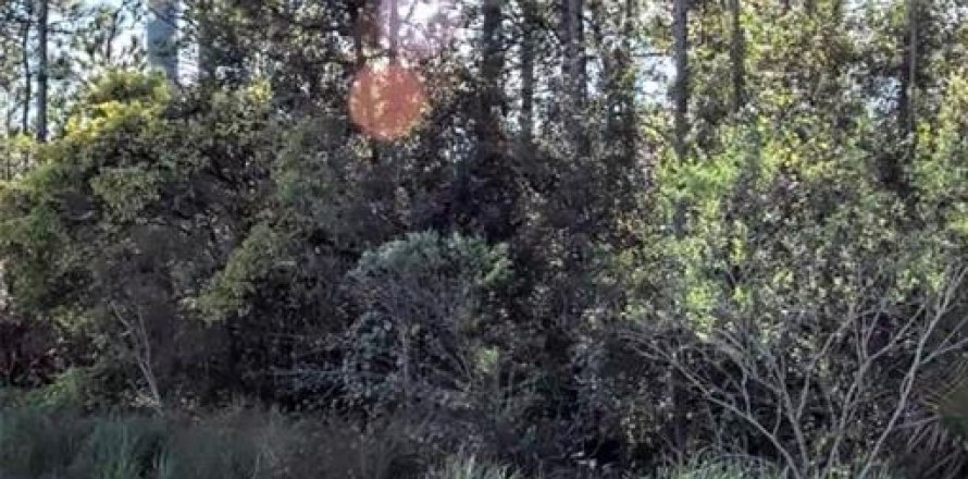 Land in Orlando, Florida № 2158810
