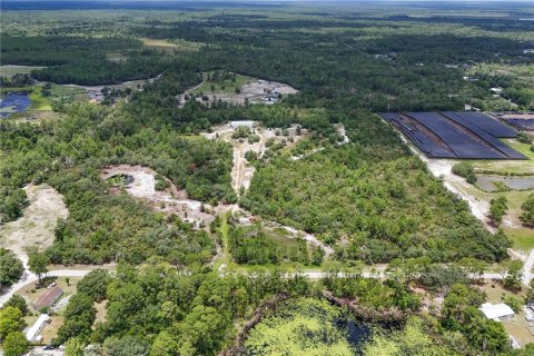 Land in Eustis, Florida № 1801438 - photo 4