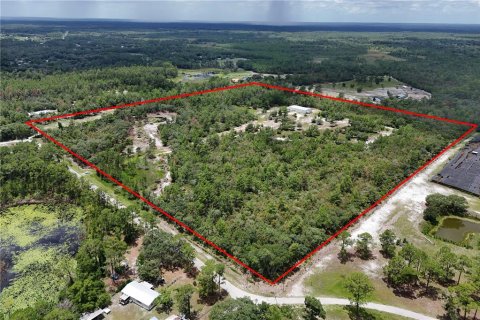 Land in Eustis, Florida № 1801438 - photo 5