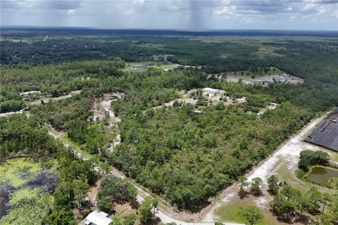 Land in Eustis, Florida № 1801438 - photo 6