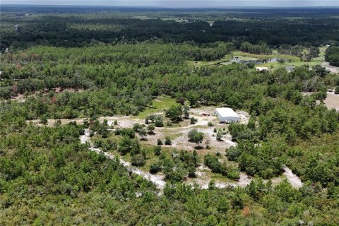 Land in Eustis, Florida № 1801438 - photo 7