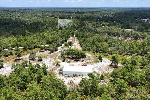 Land in Eustis, Florida № 1801438 - photo 11