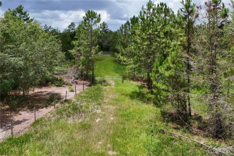 Land in Eustis, Florida № 1801438 - photo 1