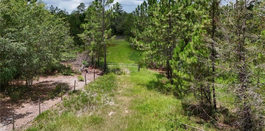 Land in Eustis, Florida № 1801438