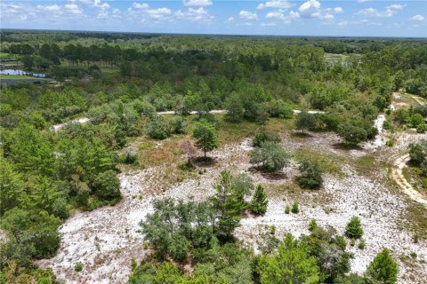 Land in Eustis, Florida № 1801438 - photo 12