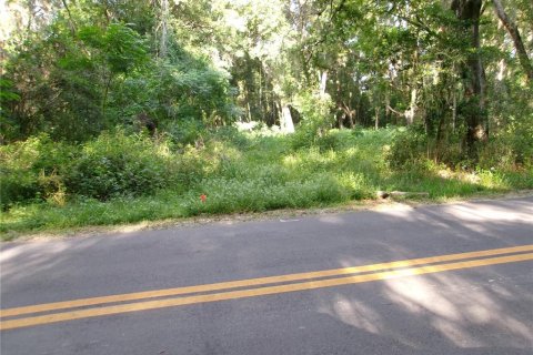 Land in Wildwood, Florida № 2199660