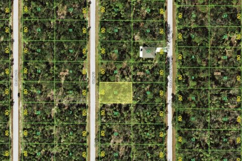 Land in Port Charlotte, Florida № 2164178 - photo 2