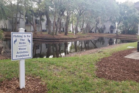 Condo in Tampa, Florida, 1 bedroom № 2258905 - photo 11