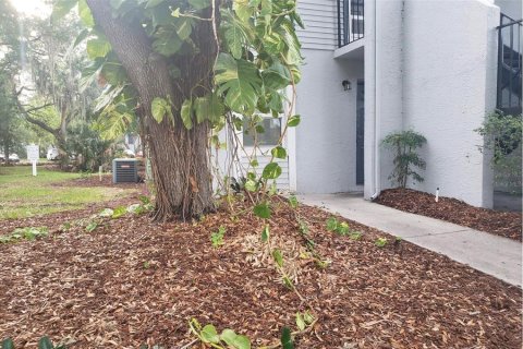 Condo in Tampa, Florida, 1 bedroom  № 2258905