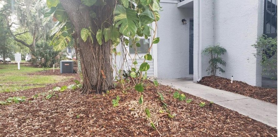 Condo in Tampa, Florida, 1 bedroom № 2258905