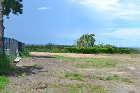 Land in Montverde, Florida № 1766053 - photo 3