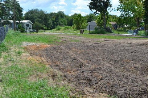 Land in Montverde, Florida № 1766053 - photo 11