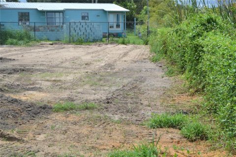 Land in Montverde, Florida № 1766053 - photo 10