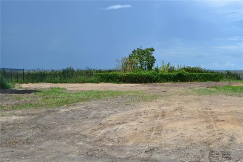 Land in Montverde, Florida № 1766053 - photo 2