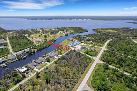 Land in Port Charlotte, Florida № 1717210 - photo 6