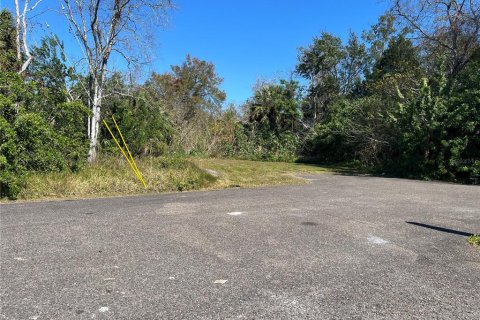 Land in New Port Richey, Florida № 2160941