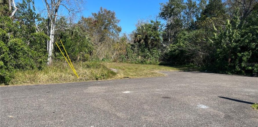 Land in New Port Richey, Florida № 2160941