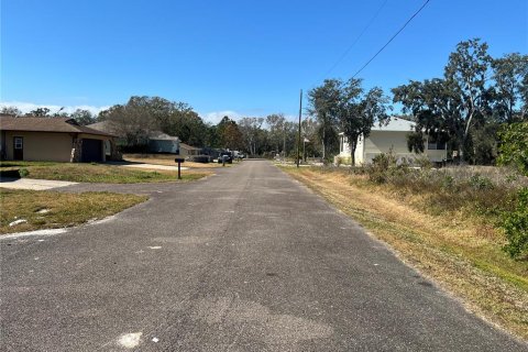 Land in New Port Richey, Florida № 2160941 - photo 4