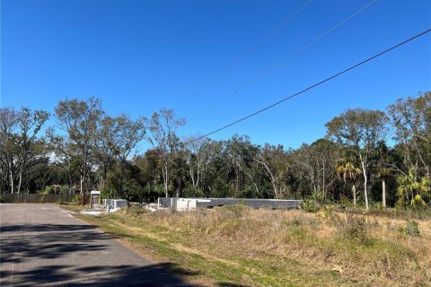 Land in New Port Richey, Florida № 2160941 - photo 6