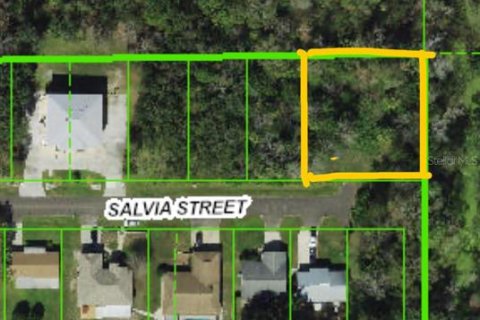 Land in New Port Richey, Florida № 2160941 - photo 2