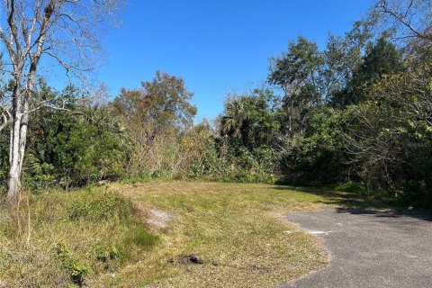 Land in New Port Richey, Florida № 2160941 - photo 8