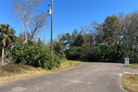 Land in New Port Richey, Florida № 2160941 - photo 3