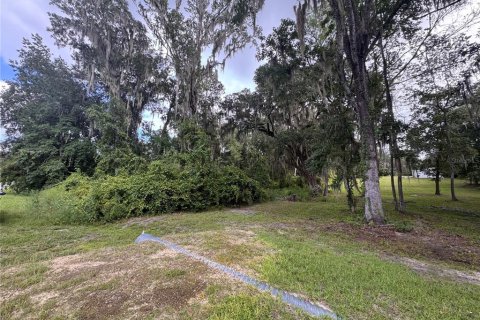 Land in Melrose, Florida № 2377848 - photo 3