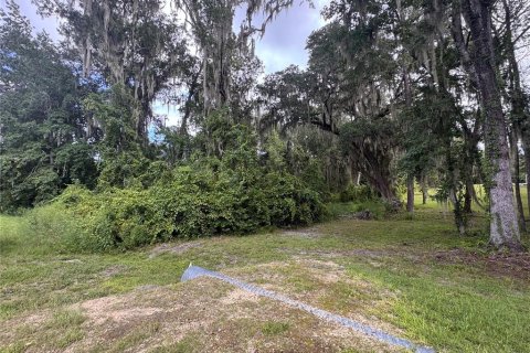 Land in Melrose, Florida № 2377848 - photo 4