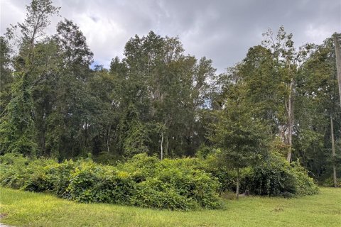 Land in Melrose, Florida № 2377848 - photo 2