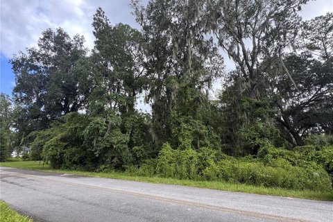 Land in Melrose, Florida № 2377848