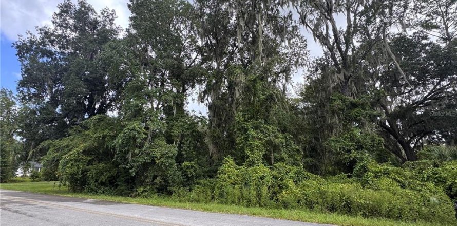 Land in Melrose, Florida № 2377848