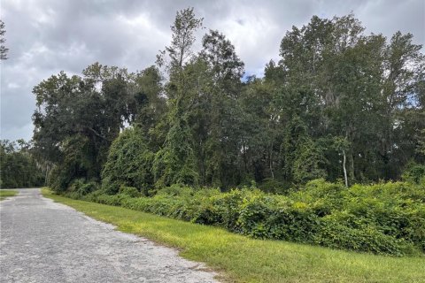 Land in Melrose, Florida № 2377848 - photo 5