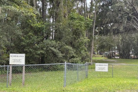 Land in Melrose, Florida № 2377848 - photo 7