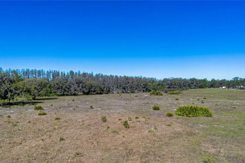 Land in Wimauma, Florida № 1724683 - photo 8