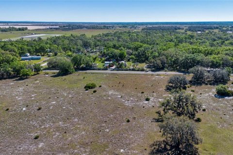 Land in Wimauma, Florida № 1724683 - photo 5