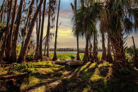 Land in Wimauma, Florida № 1724683 - photo 1