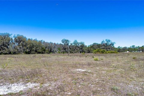 Land in Wimauma, Florida № 1724683 - photo 11