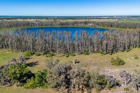 Land in Wimauma, Florida № 1724683 - photo 4