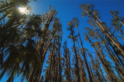 Land in Wimauma, Florida № 1724683 - photo 16