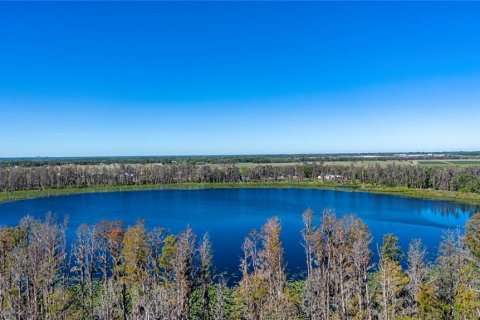 Land in Wimauma, Florida № 1724683 - photo 17