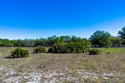 Land in Wimauma, Florida № 1724683 - photo 10