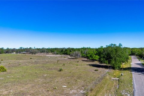 Land in Wimauma, Florida № 1724683 - photo 6