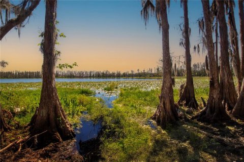 Land in Wimauma, Florida № 1724683 - photo 15