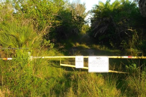 Immobilier commercial à Homestead, Floride № 2037594