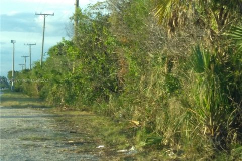 Propiedad comercial en venta en Homestead, Florida № 2037594 - foto 5