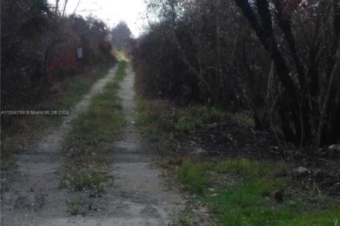 Propiedad comercial en venta en Homestead, Florida № 2037594 - foto 12