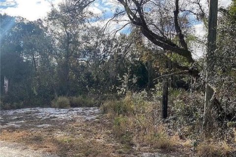 Land in Sebring, Florida № 2202112