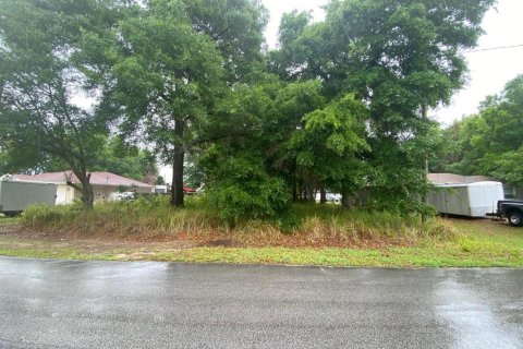 Land in Ocala, Florida № 2278041