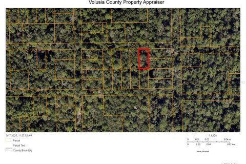 Land in Orange City, Florida № 2161942 - photo 2